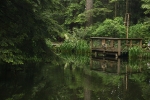 No Fishing - Im Capilano-Park Vancouver